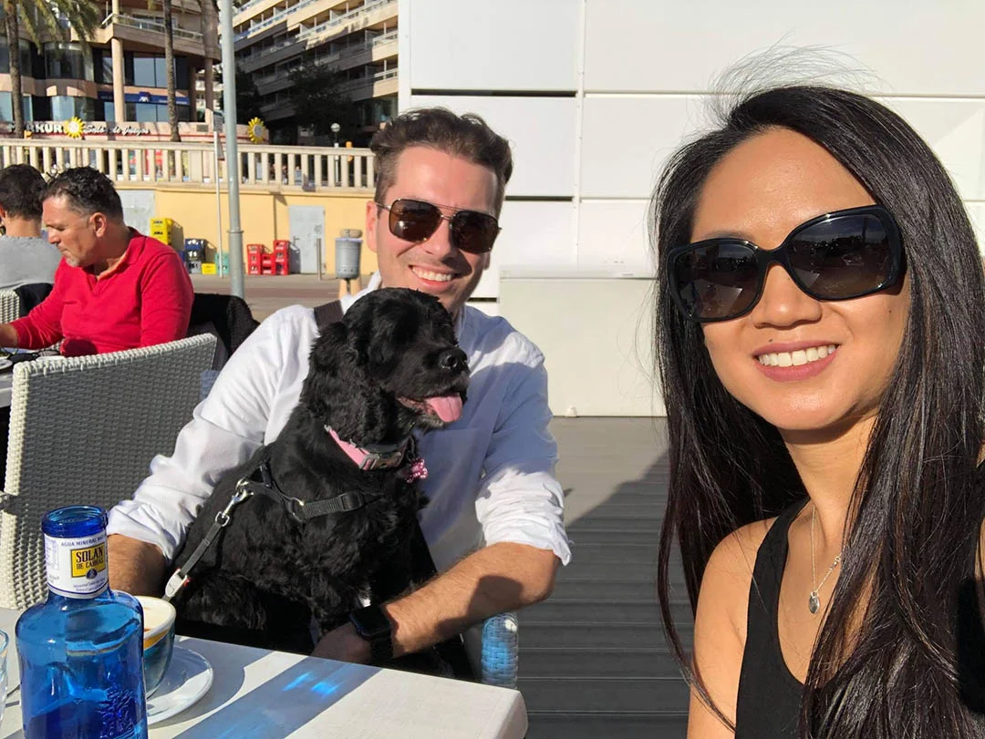 Cocker spaniel ciega España