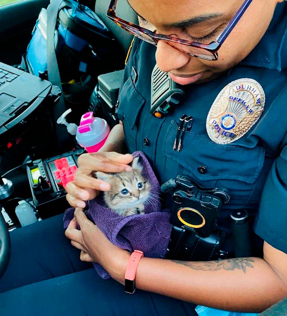 Gatito salvado por policía