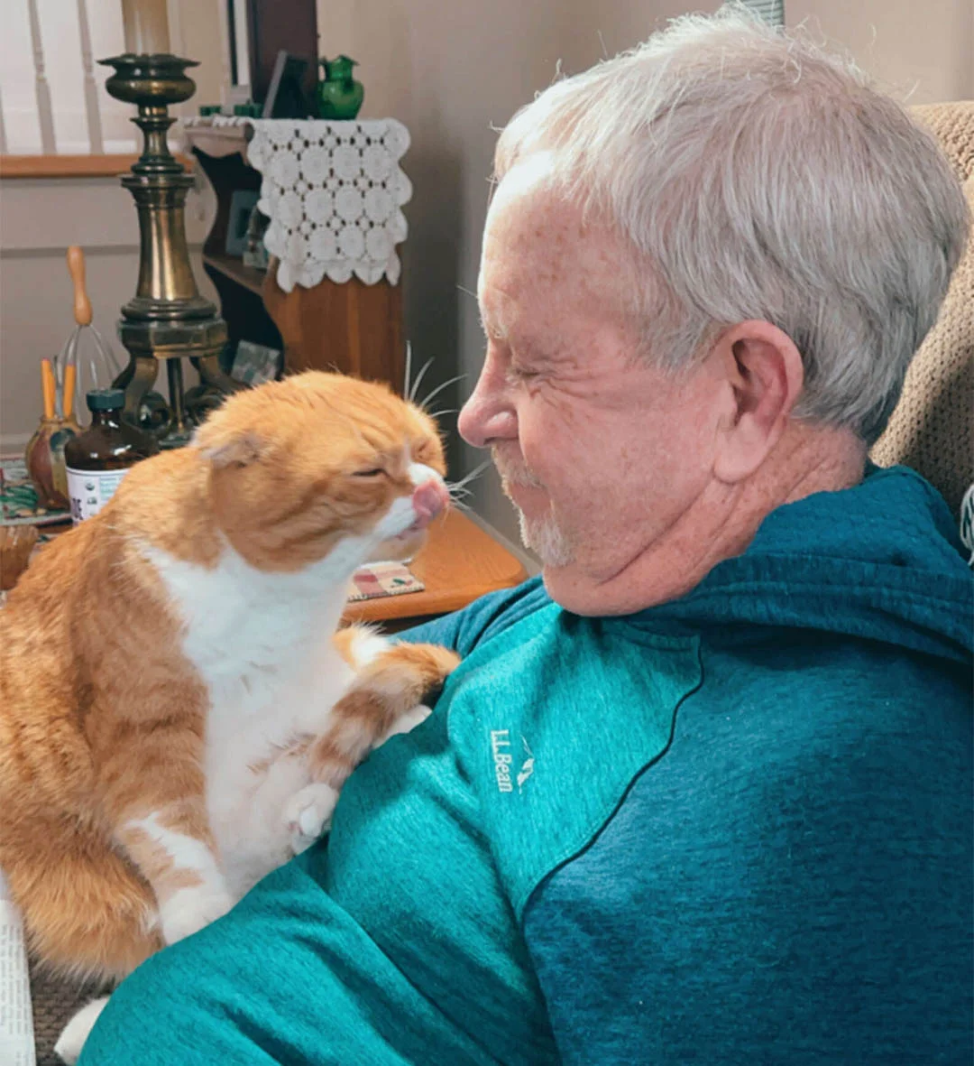 Gato no se aleja