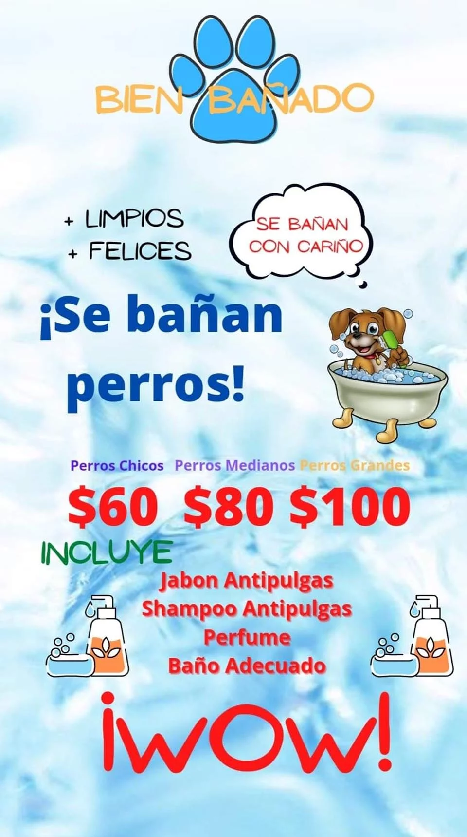 Oferta de niño de 7 años que baña perritos