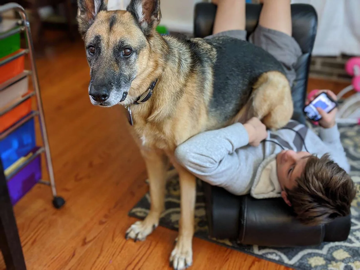 Perro revisa el piso cada que escucha la palabra 'Ups'