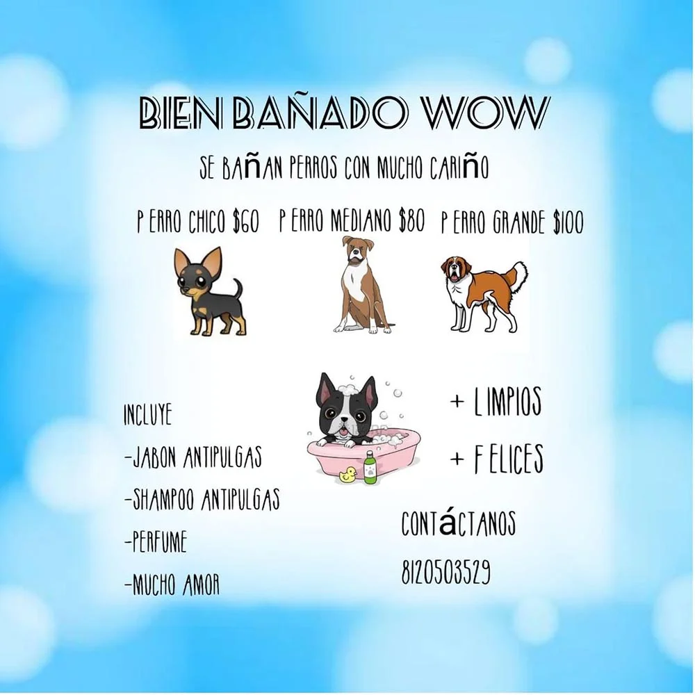 Publicidad de niño que baña perritos