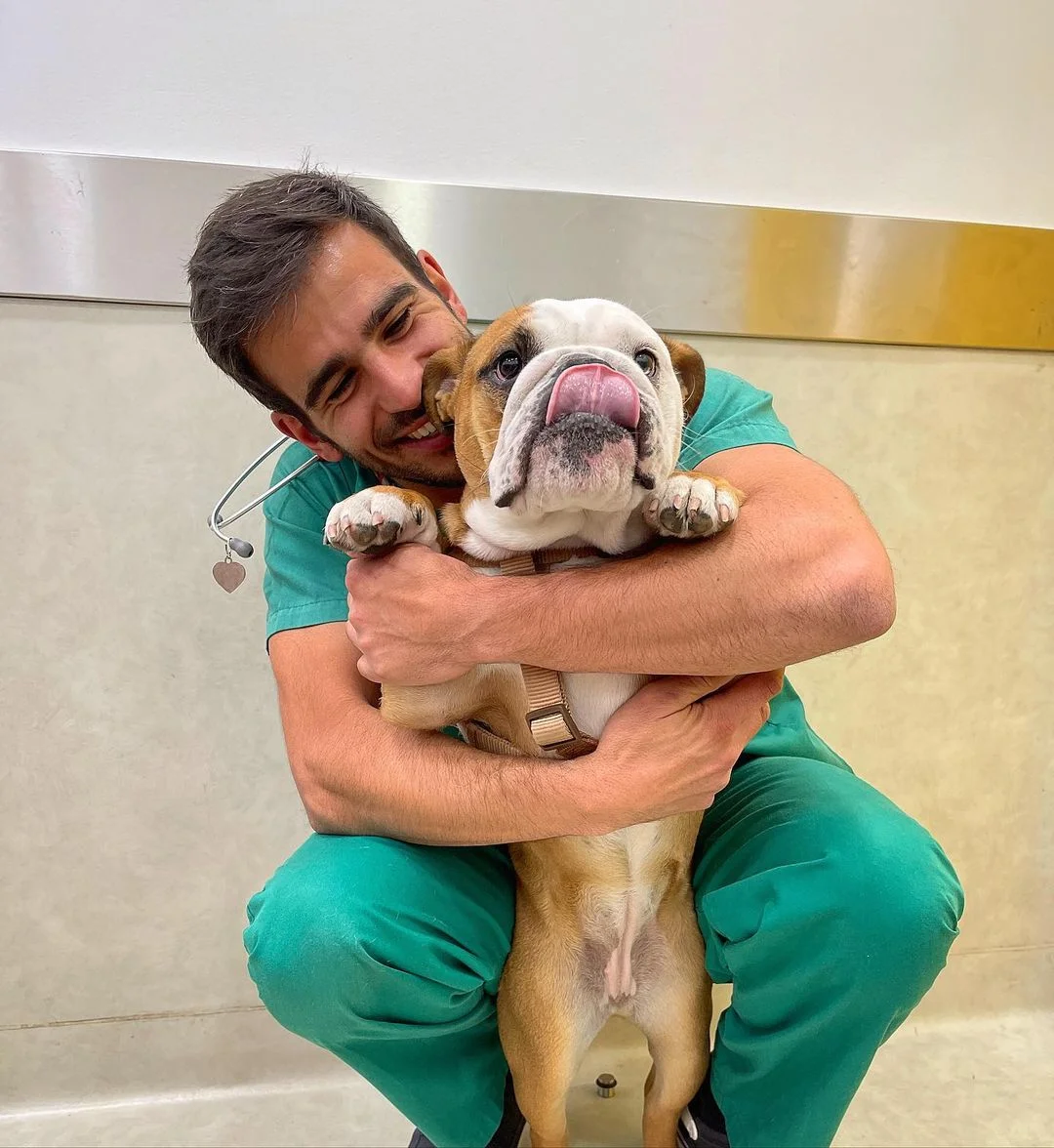 Veterinario tiene una forma adorable de vacunar