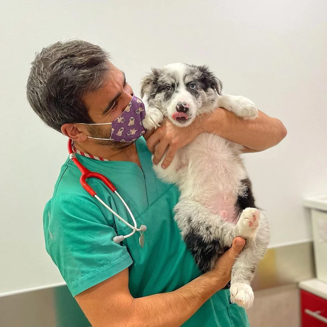 Veterinario y perrito