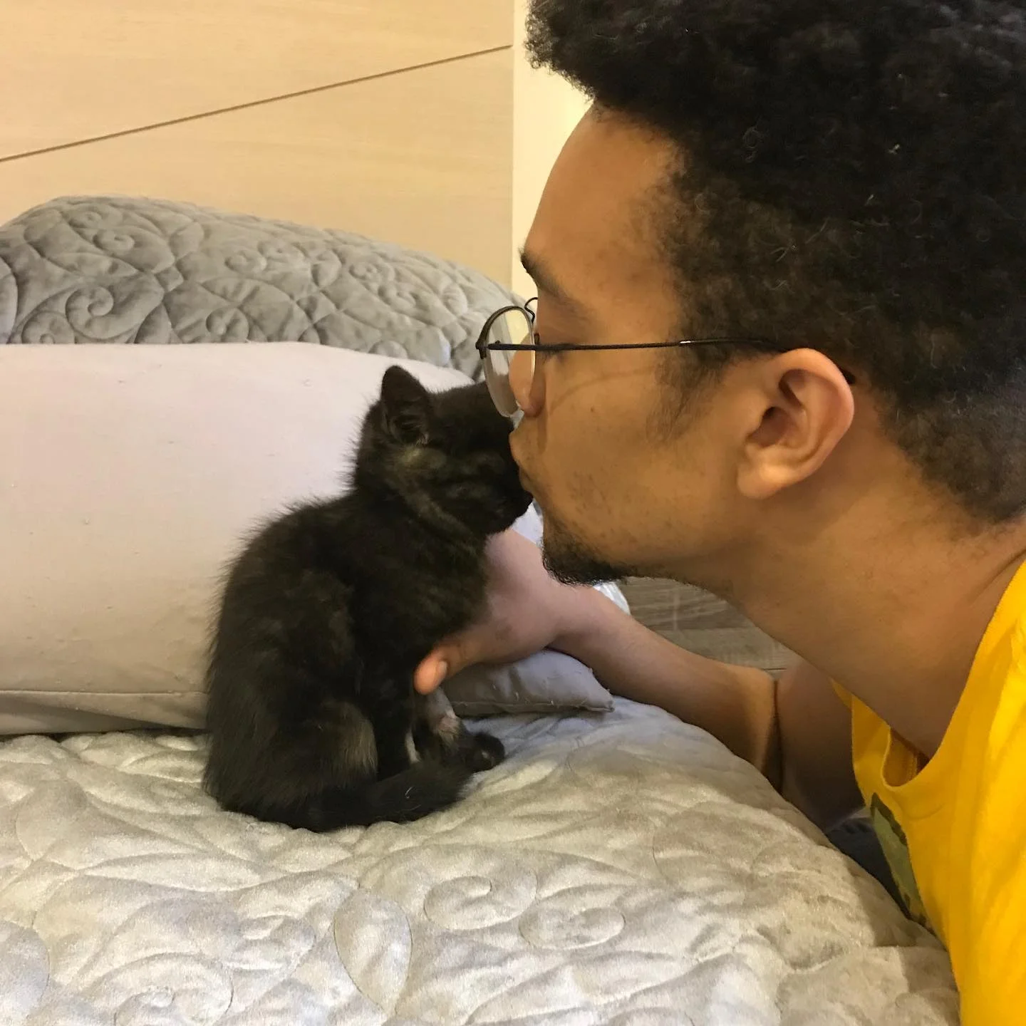 Gatito sale adelante con ayuda de una pareja amable