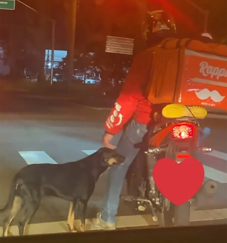 Mensajero acariciando Negao