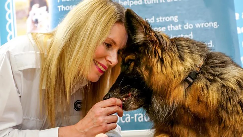 Perro que fue atado a una roca encuentra familia