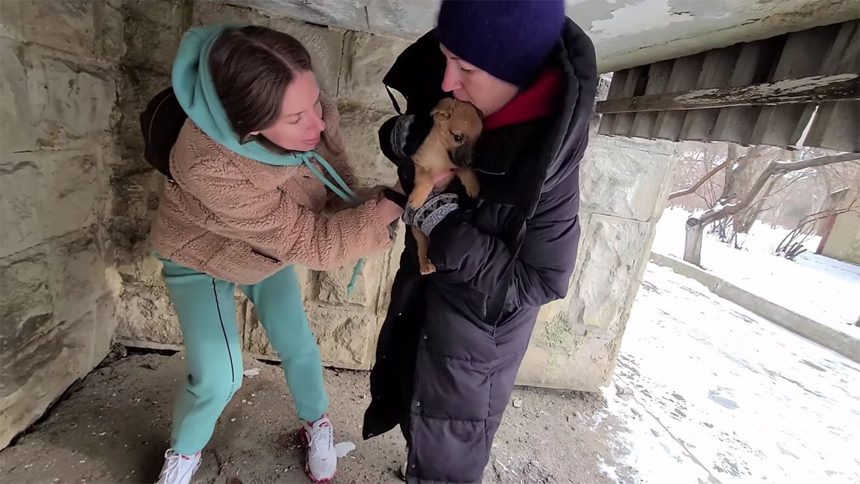 Voluntarias rescatan a cachorrito del frío