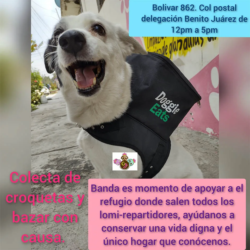 Campaña para croquetas
