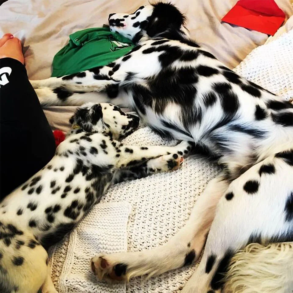Oakley y hermana