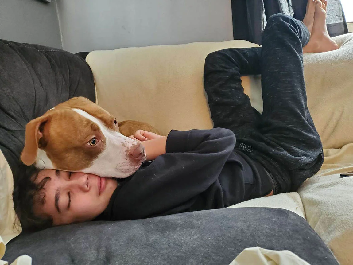 Perro rescatado y su hermano