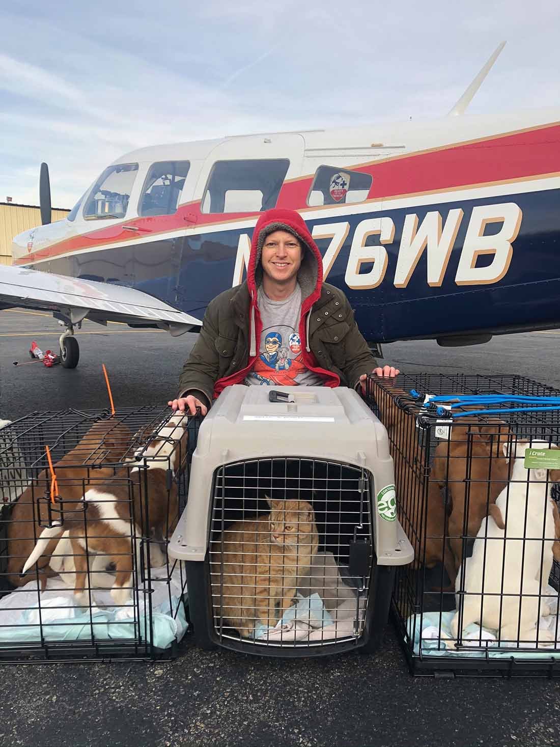Piloto ayuda a animales rescatados