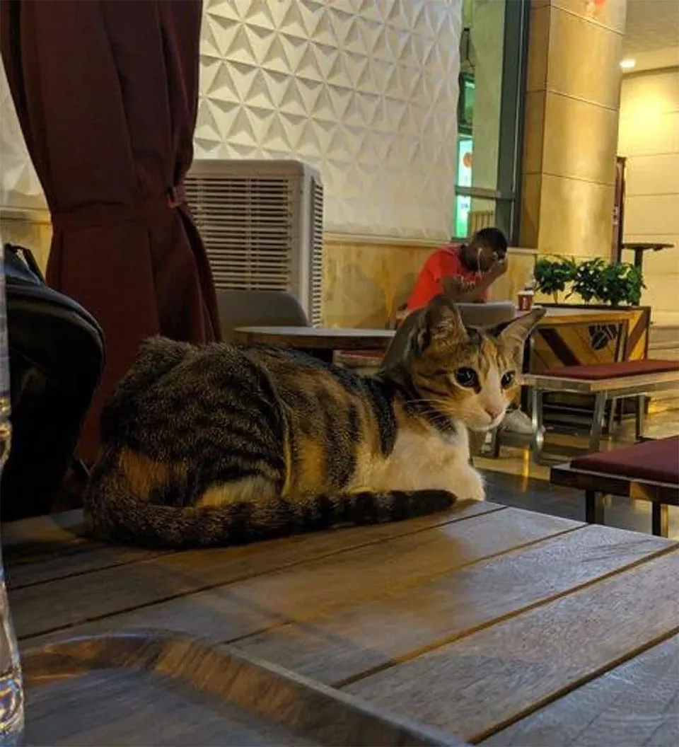 Sophie en cafetería