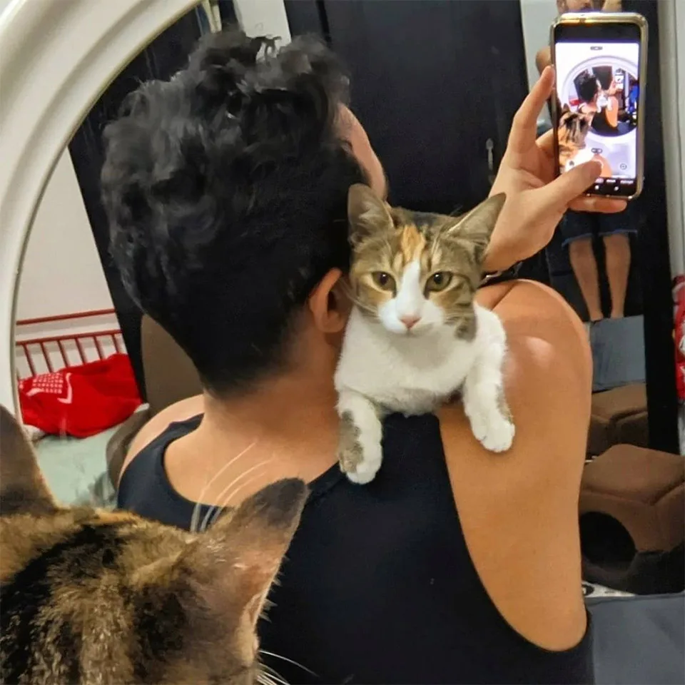 Sophie nueva vida
