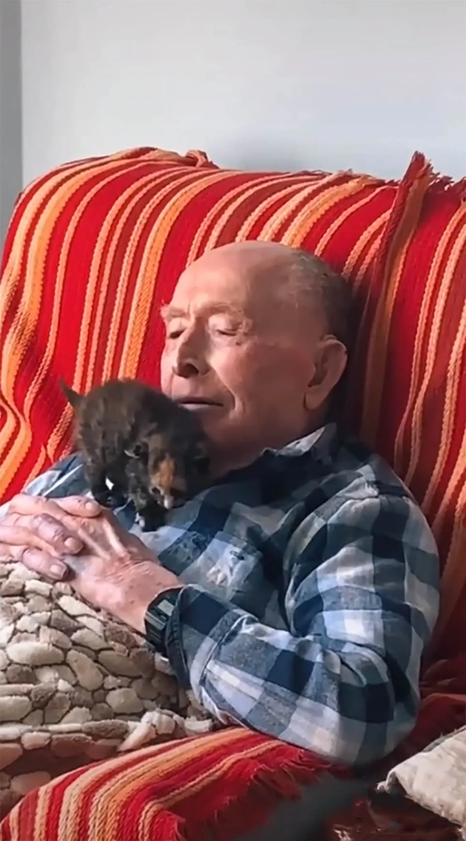 Abuelo de 100 años hace amistad con pequeño gatito