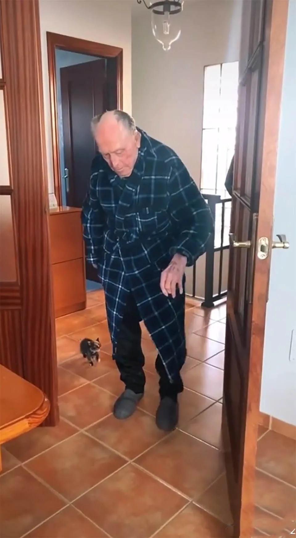 Abuelo y pequeño gatito