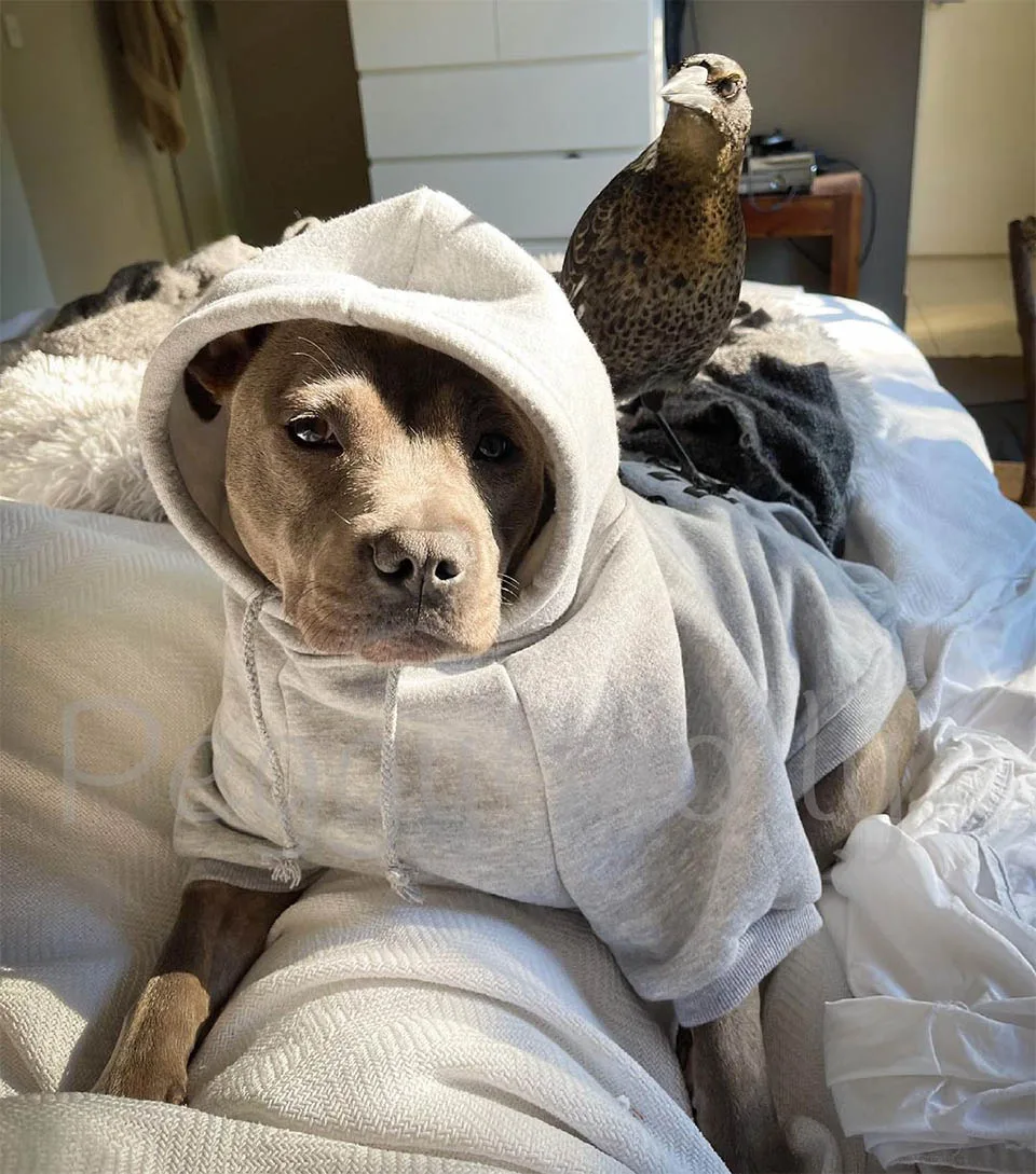 Adorable relación