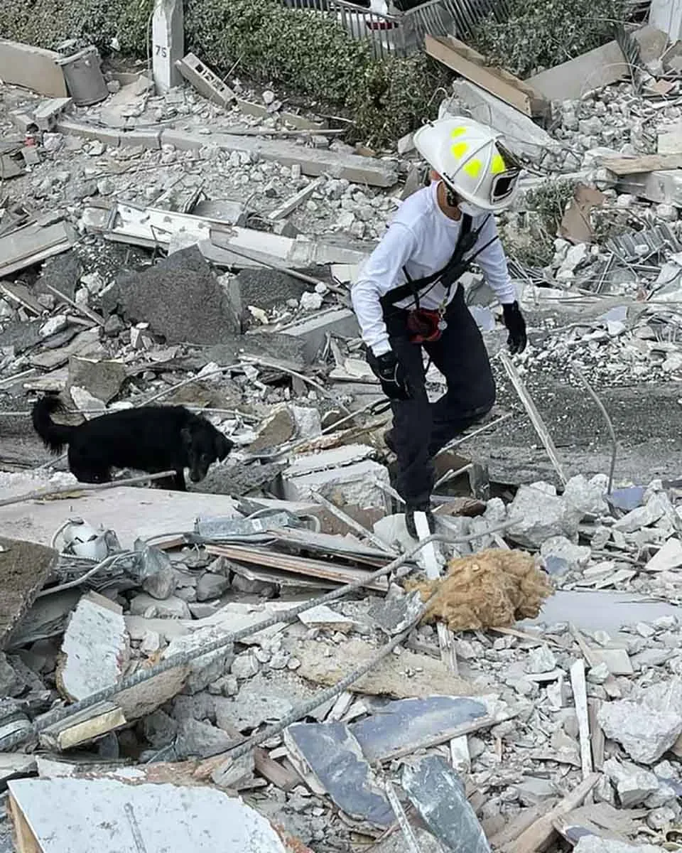 Bombera y su perro caminan en busca de sobrevivientes