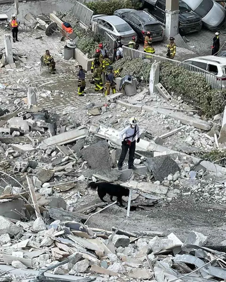 Bombera y su perro caminan entre los restos de un condominio