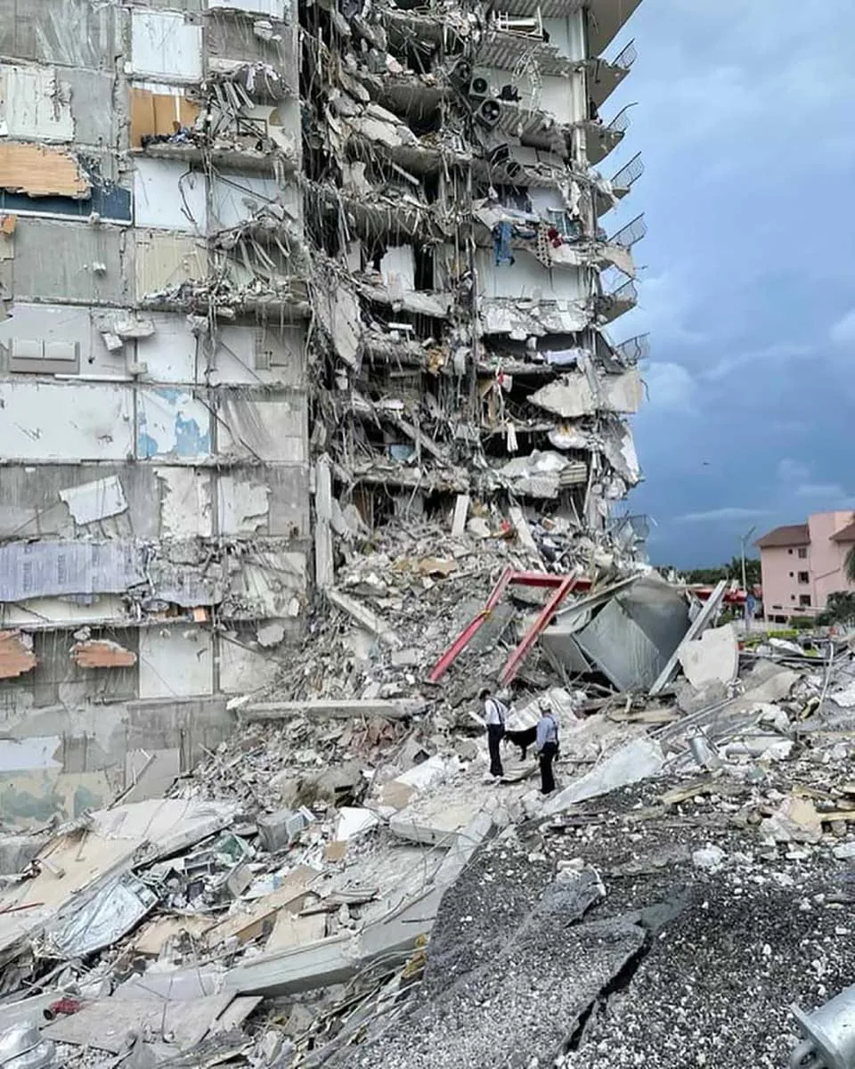 Bombera y su perro caminan entre restos de un condominio