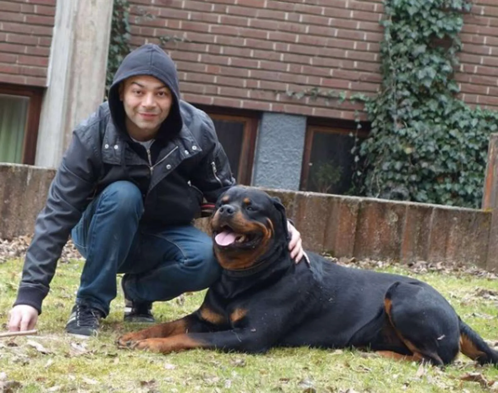 Dulce rottweiler consuela a un extraño en el parque