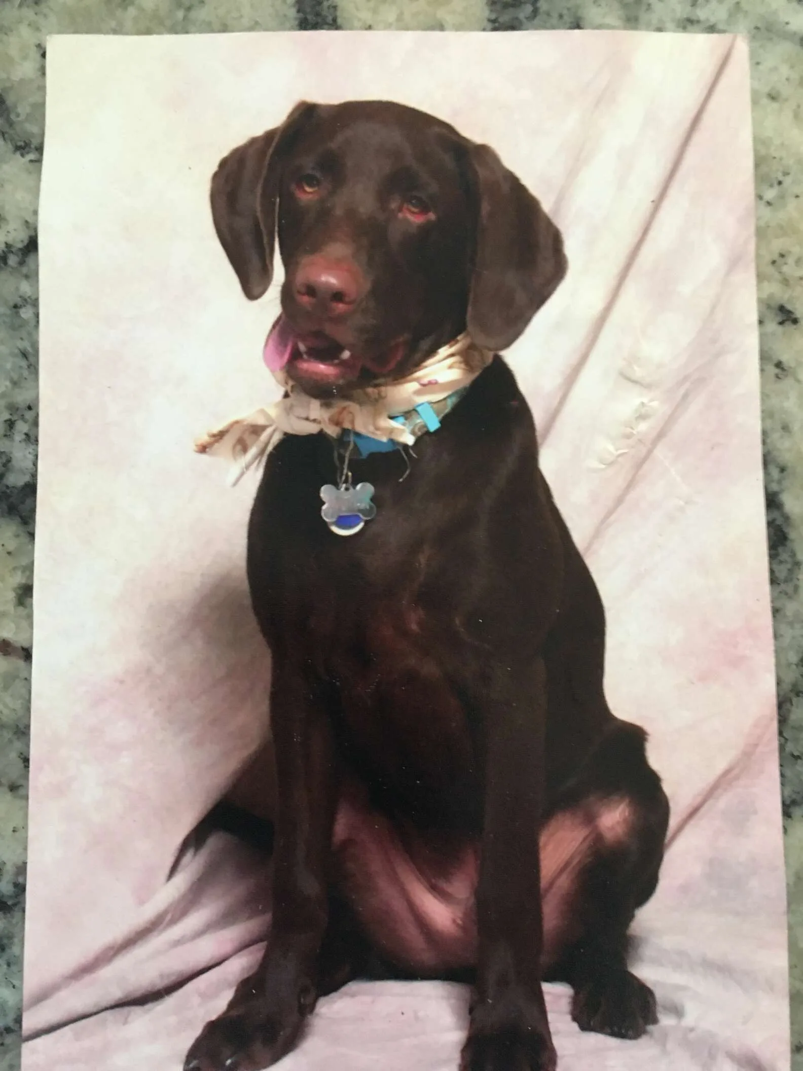 Familia se asegura de que su perro reciba toda la atención