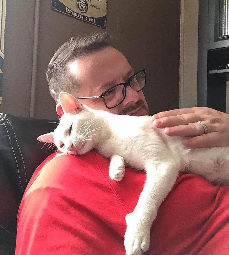 Gata lleva gatitos hombre