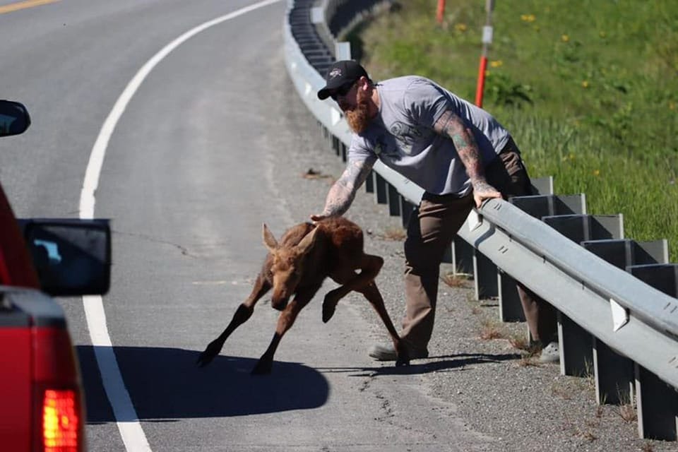 Hombre socorre a un pequeño animal