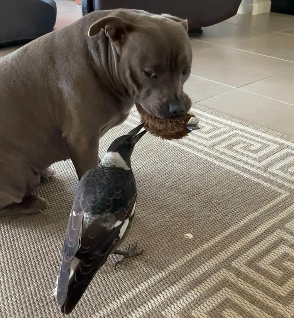 Madre e hija jugando