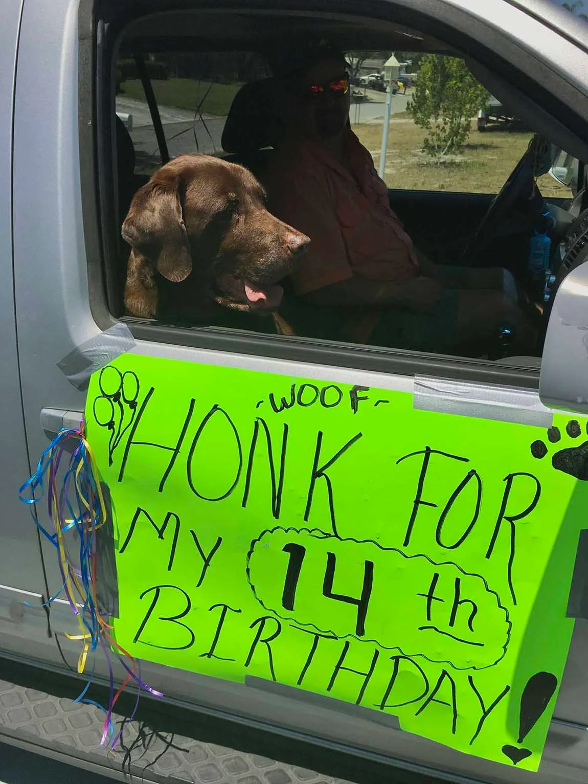 Perrito celebra su cumpleaños