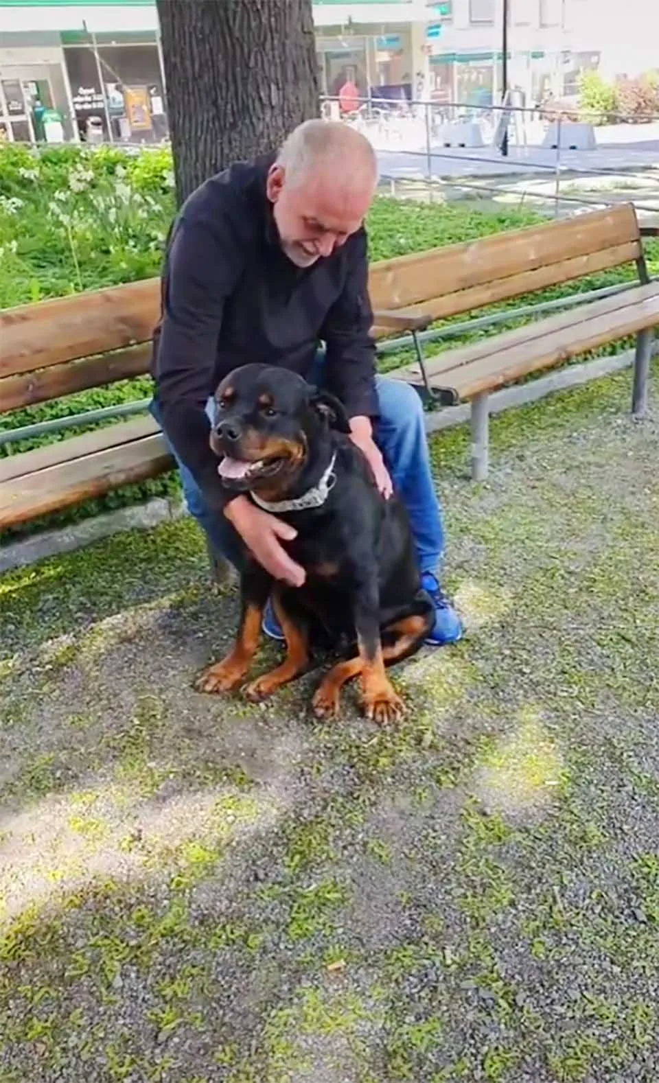 Perro consuela a un extraño en el parque