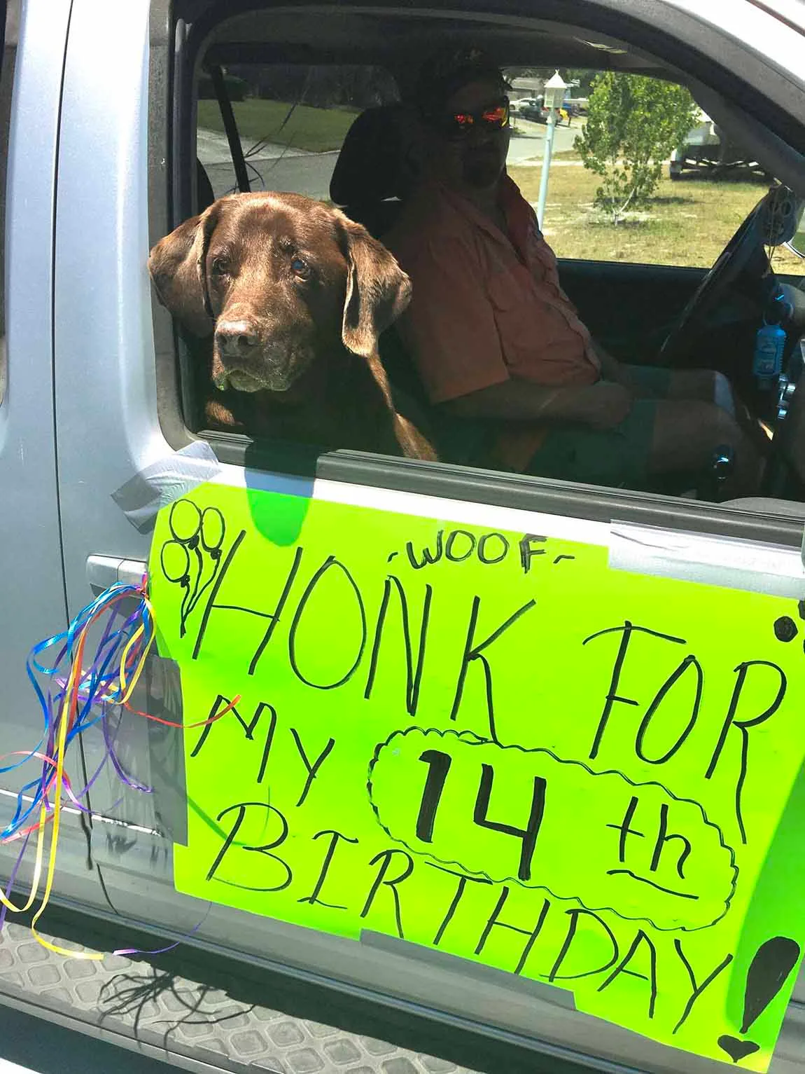 Perro recibe toda la atención por su cumpleaños #14