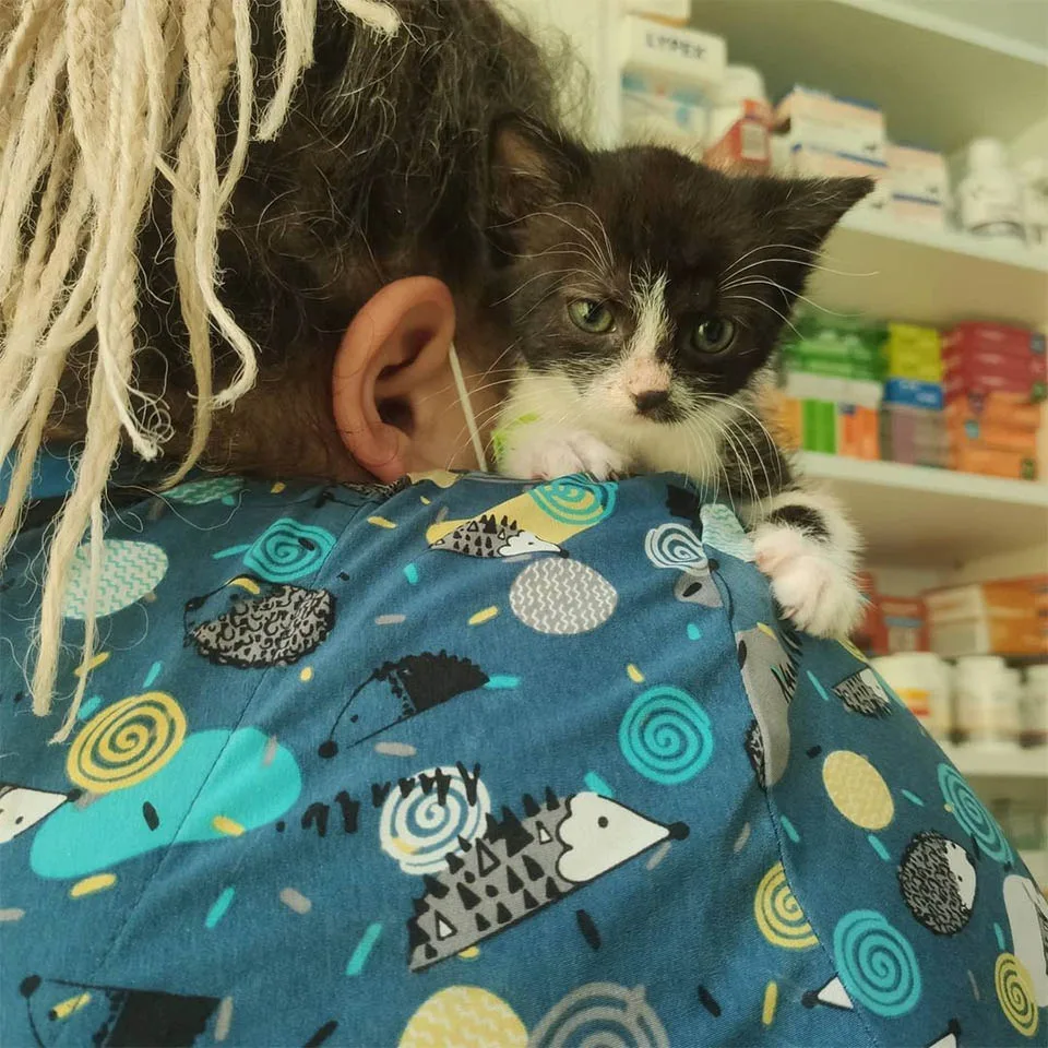 Adorable Andrzej