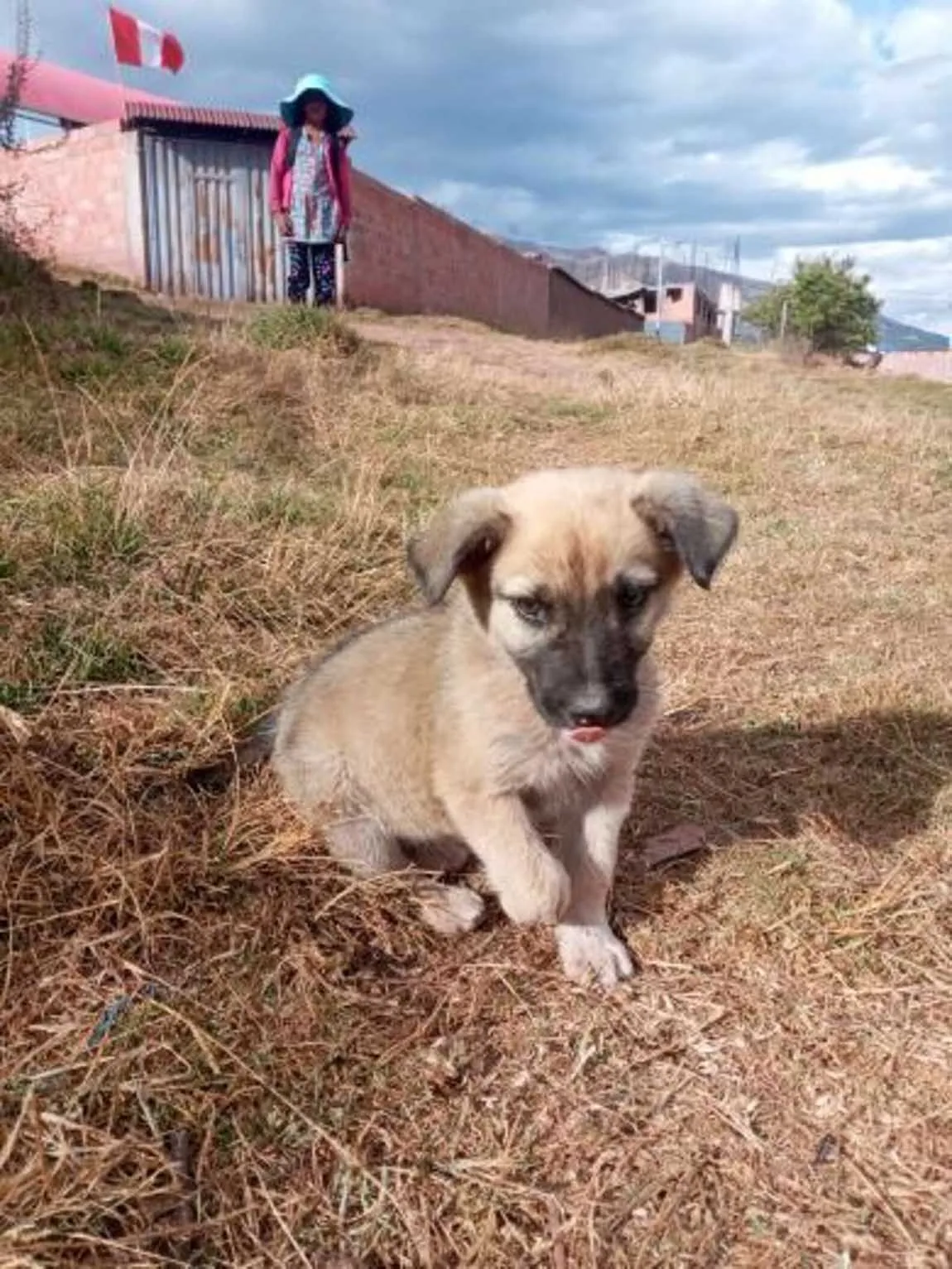 Cachorro recibe la bienvenida más dulce