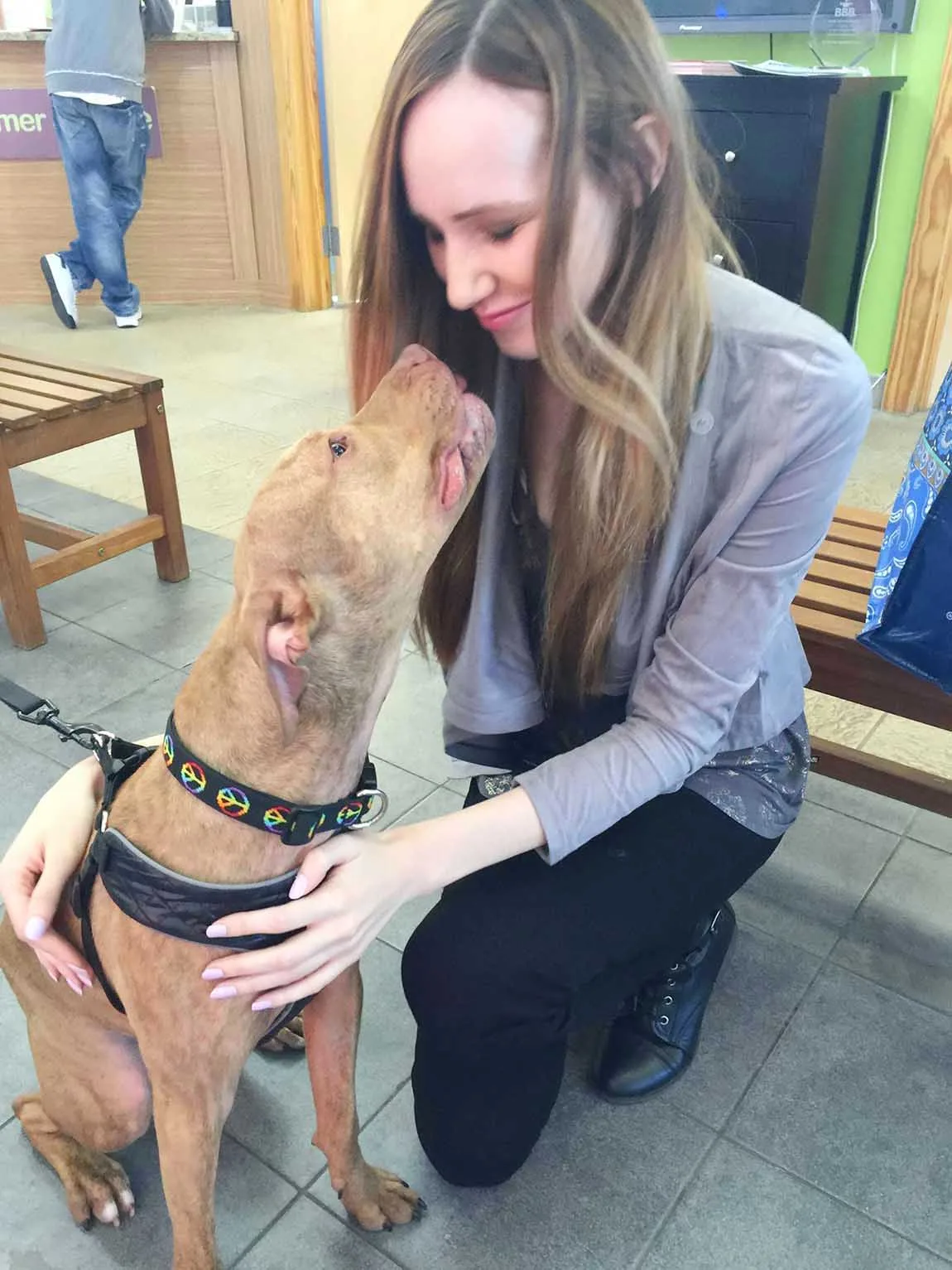 El perro más dulce del refugio