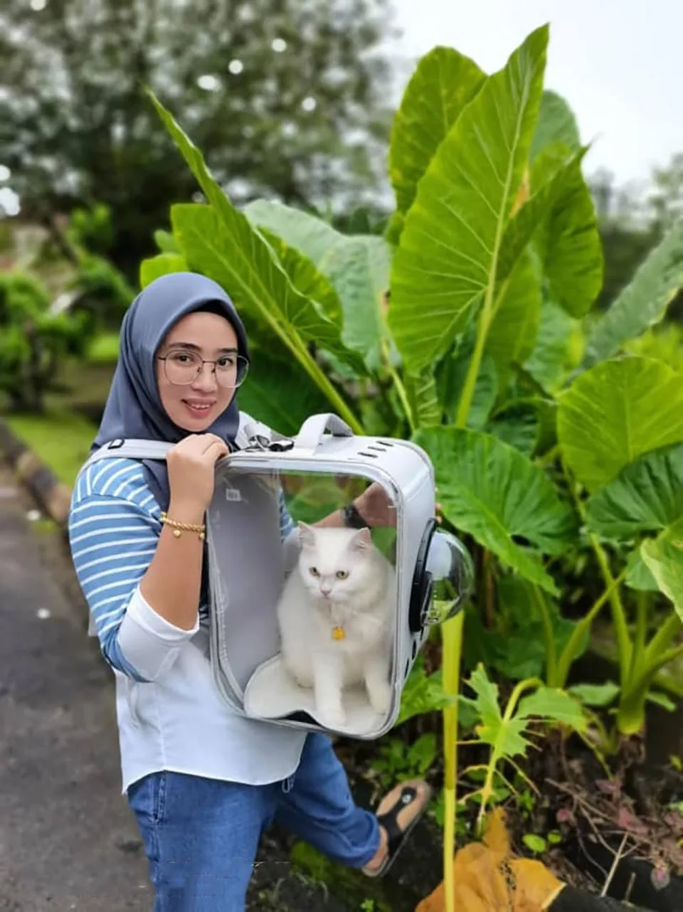 Mujer salvó a un gatito herido