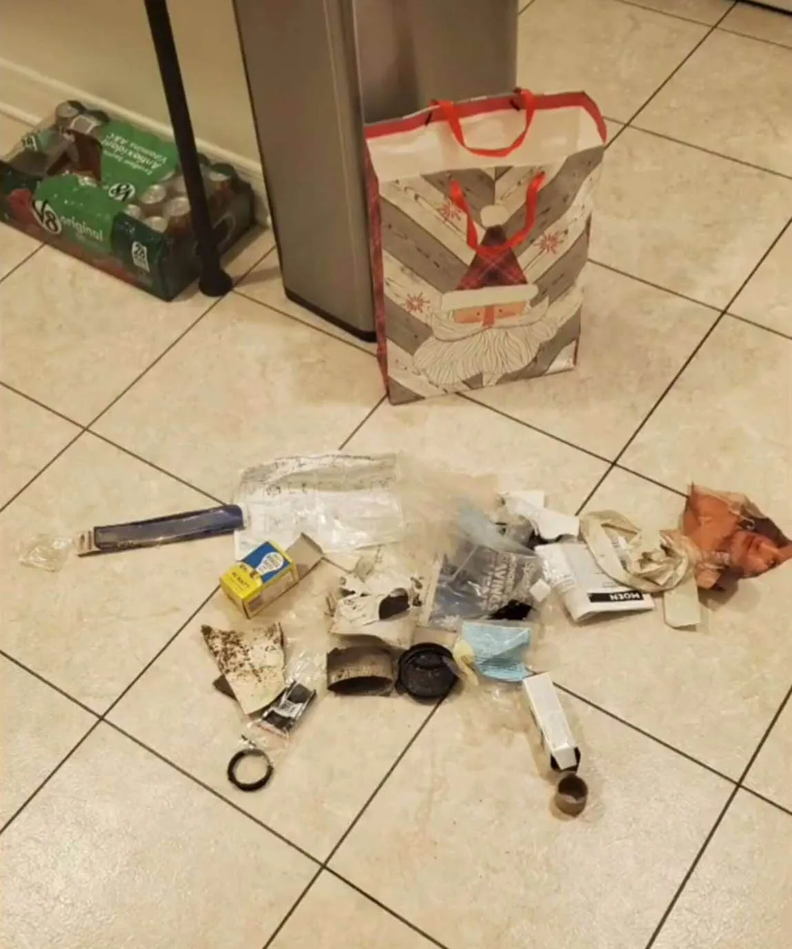 Obsequios del gato