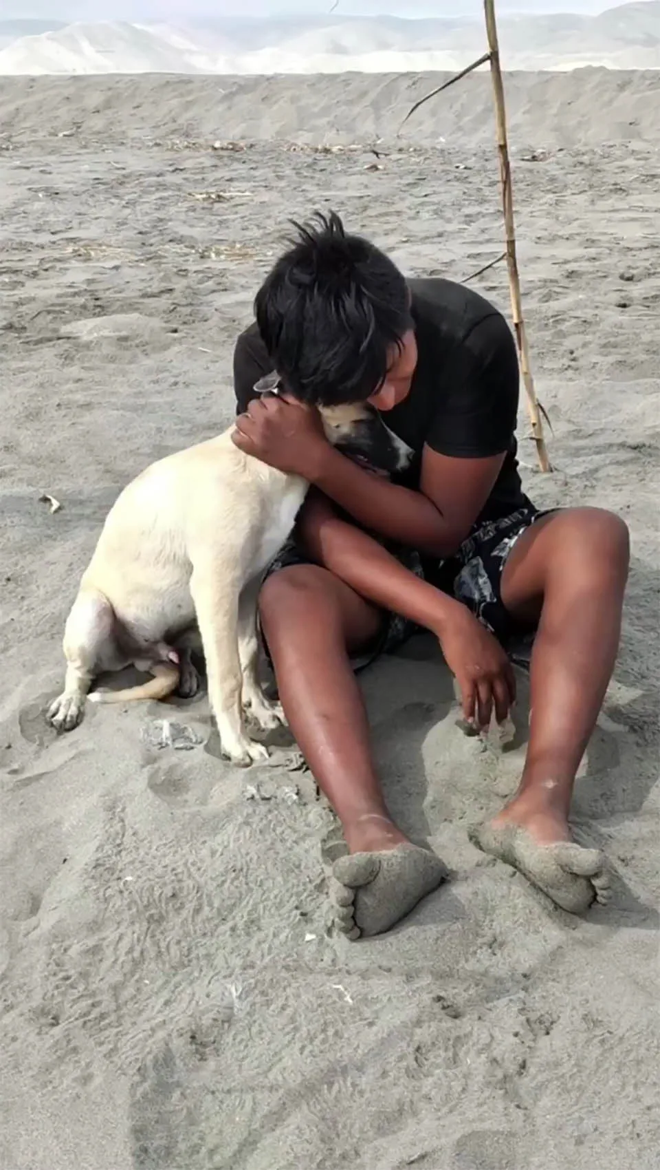 Perrito y su humano en playa