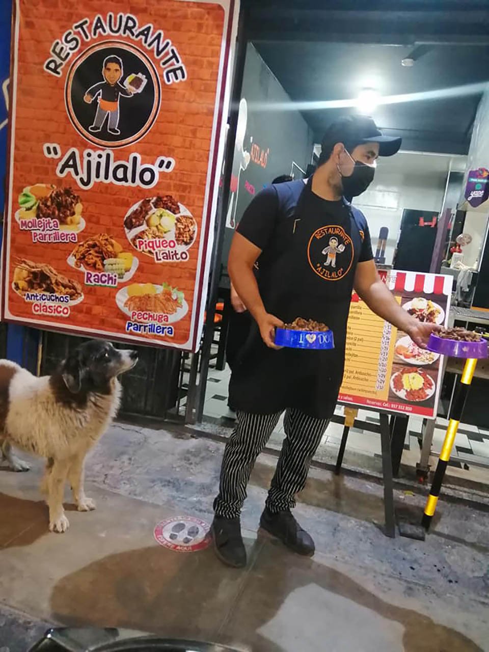 Dueño de un restaurante alimenta a perros sin hogar