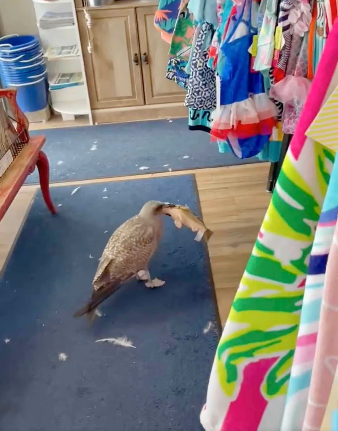 Gaviota ve pez de juguete en tienda de regalos