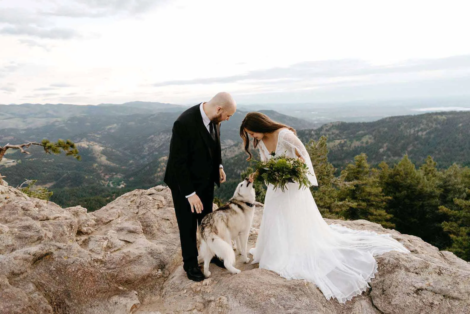Perros irrumpen en las fotos de una boda