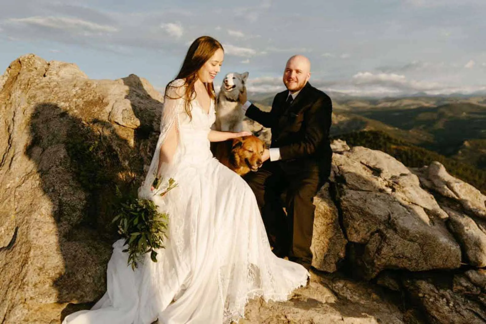 Perros irrumpen en una boda