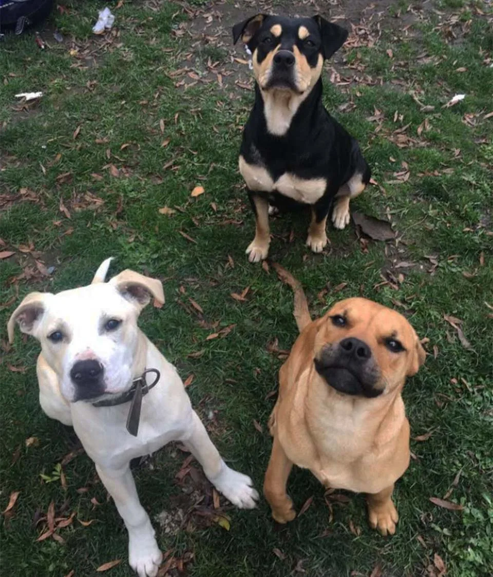 Stan con familia