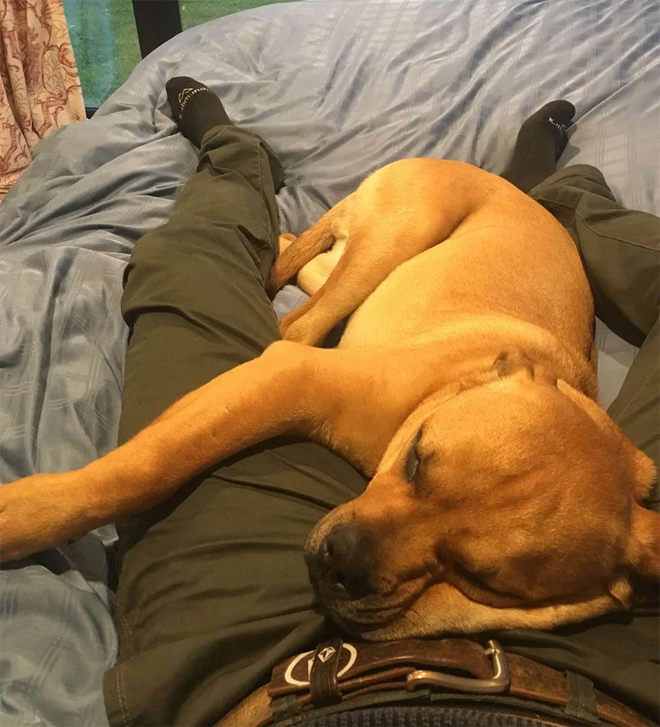 Stan con padre