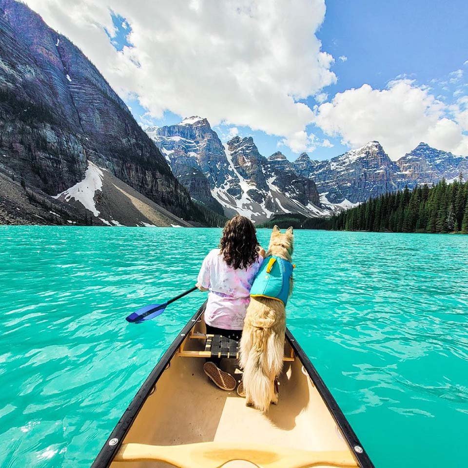 Perrita y su madre en canoa
