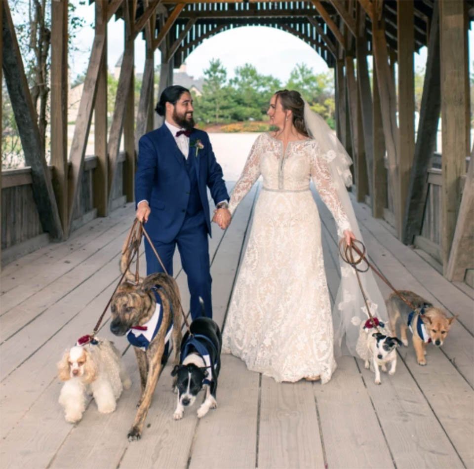 Pareja incluye a sus cinco perros en su boda