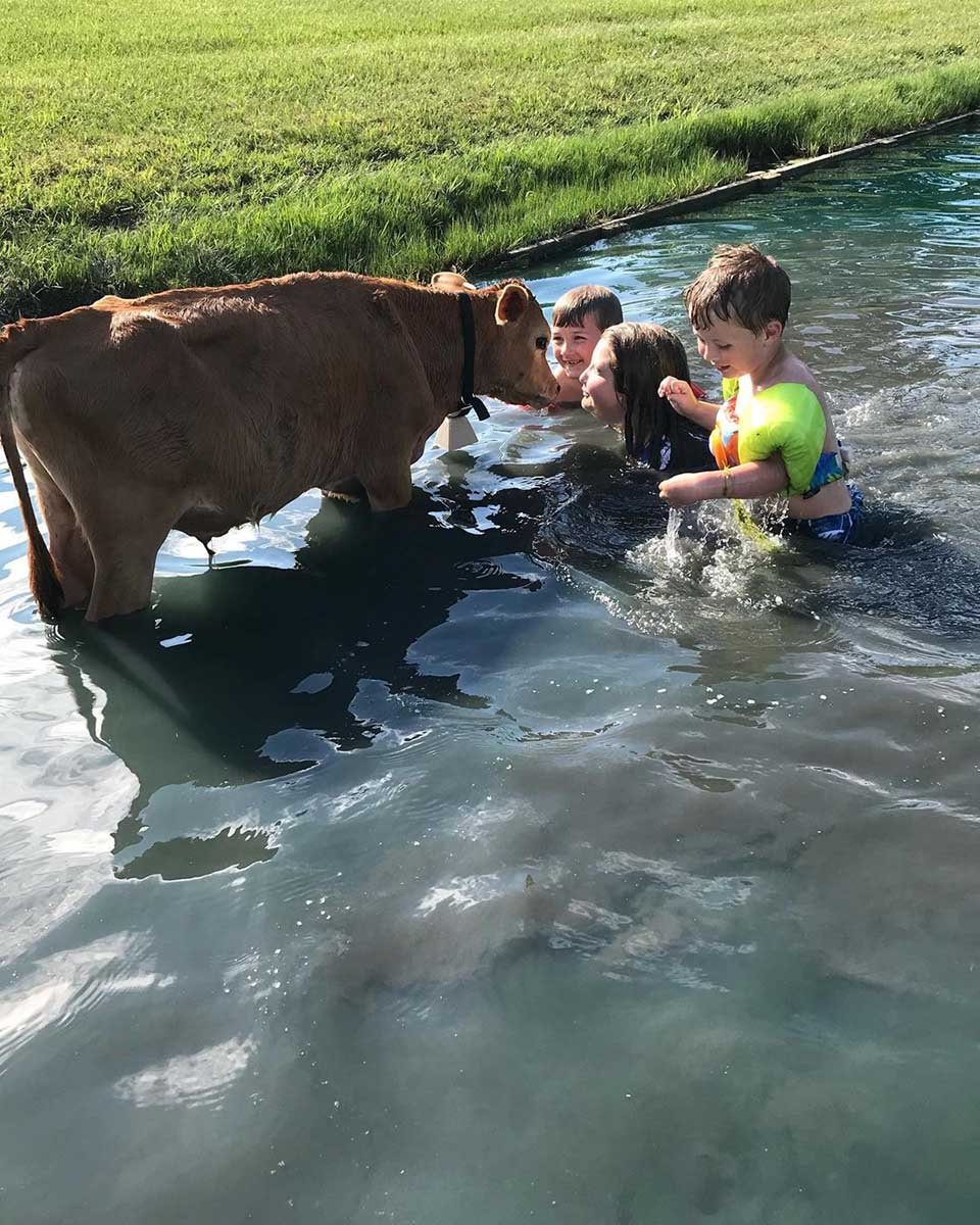 Vaca y niños en el rio