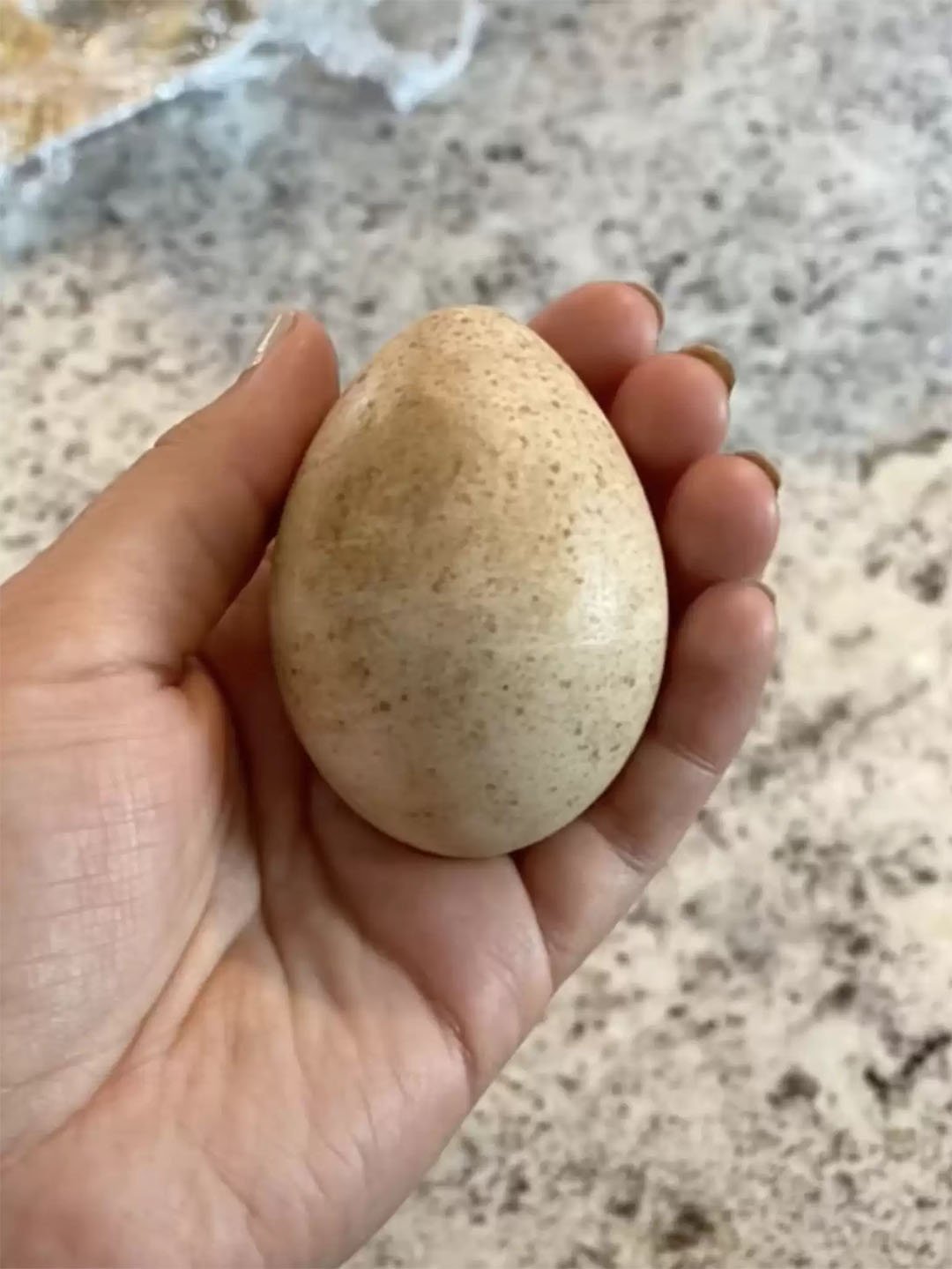 Huevo encontrado