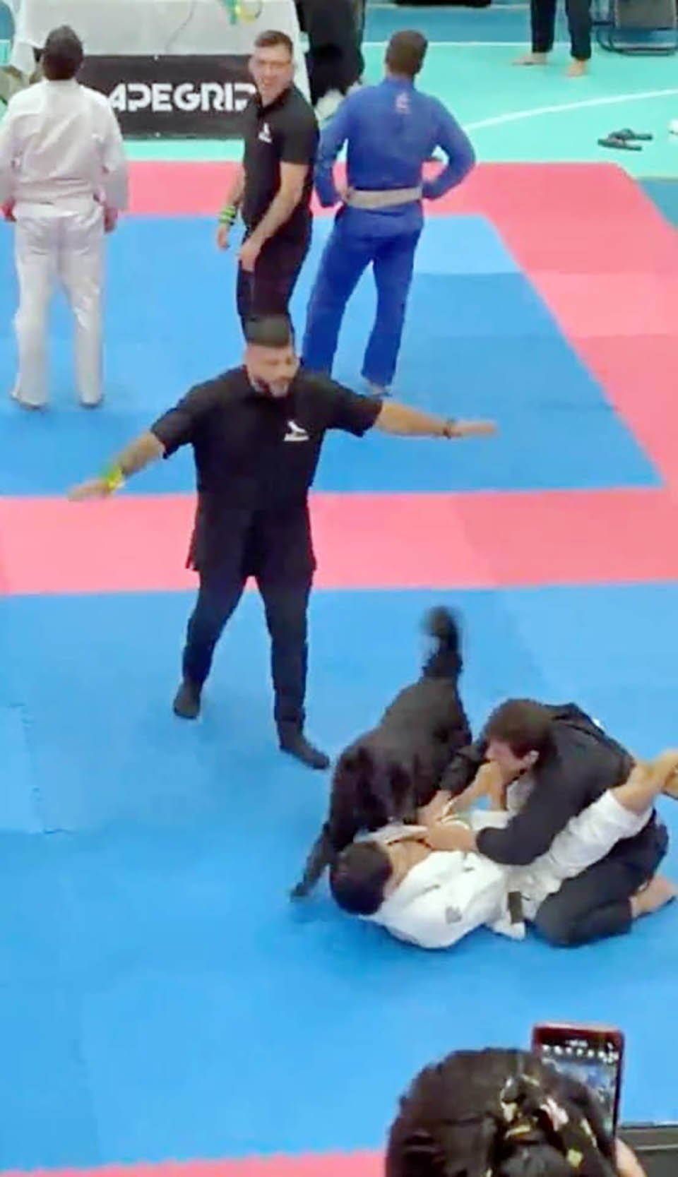 Perro entra a un campeonato de jiujitsu