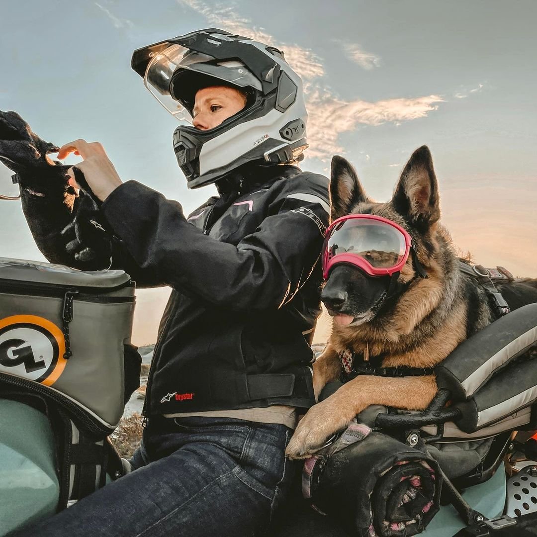 Mujer y su perro en moto